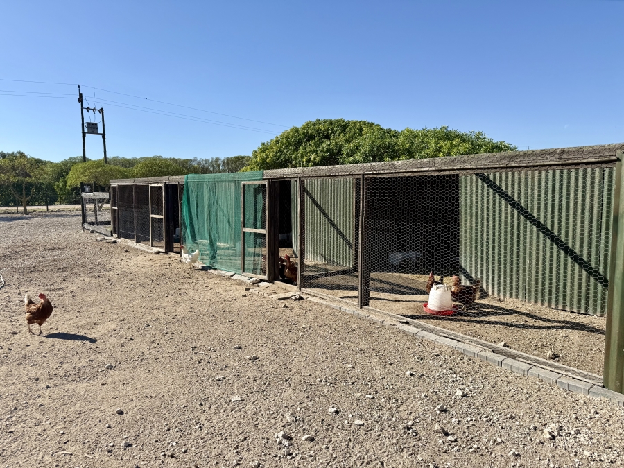 8 Bedroom Property for Sale in Long Acres Country Estate Western Cape